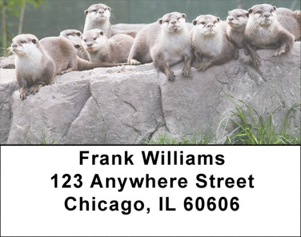 Otter Address Labels | LBZANJ-49