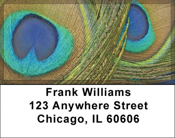 Peacock Plumes Address Labels | LBZANJ-52