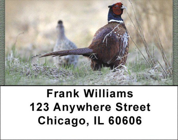 Pheasants In Winter Address Labels | LBZANJ-57