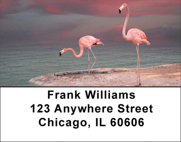 Pink Flamingo Address Labels | LBZANJ-59