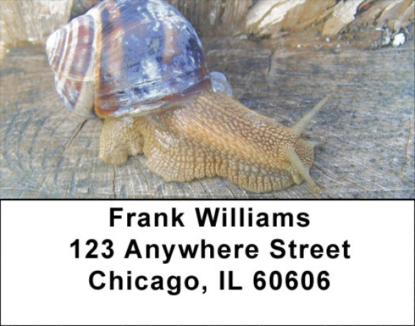 Snails On Parade Address Labels | LBZANJ-71