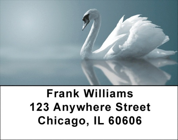 Swan Splendor Address Labels | LBZANJ-79