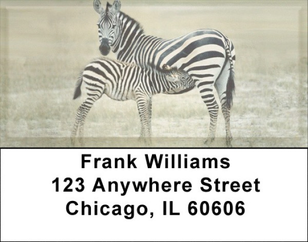 Zebra & Babies Address Labels | LBZANJ-90