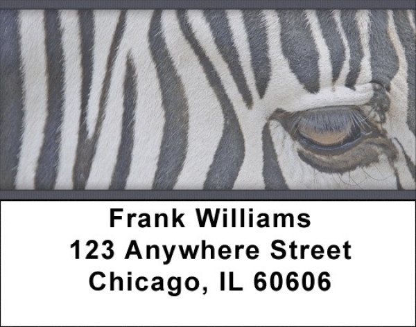 Zebra Eye To Eye Address Labels | LBZANJ-91