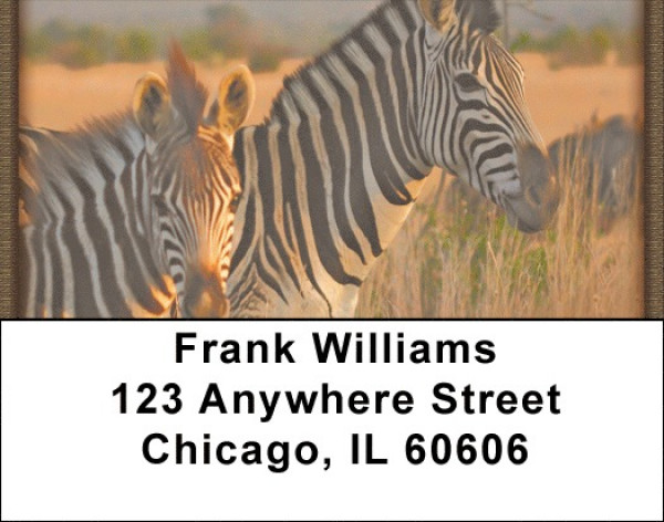Zebras At Sunset Address Labels | LBZANJ-95