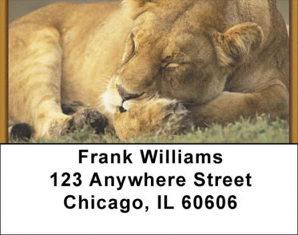 Sleeping Animals Address Labels | LBZANJ-96