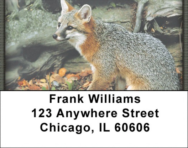 Out Foxed Address Labels | LBZANK-40