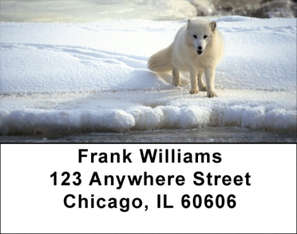 White Fox Address Labels | LBZANK-41