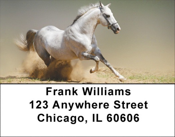 Playful Address Labels | LBZANK-49