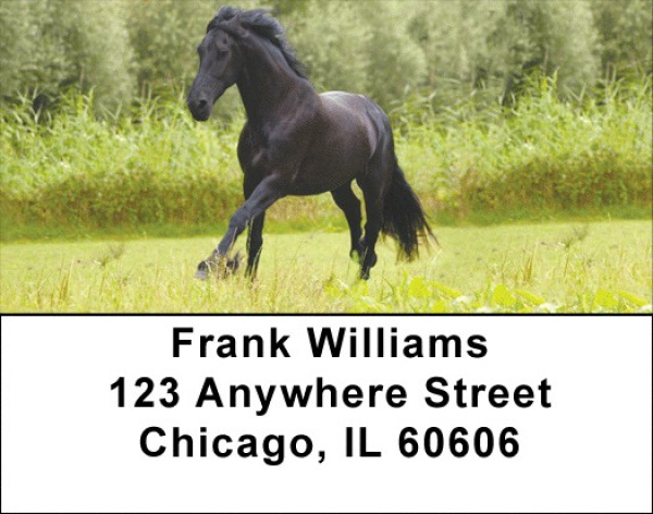 Award Winning Stallions Address Labels | LBZANK-51