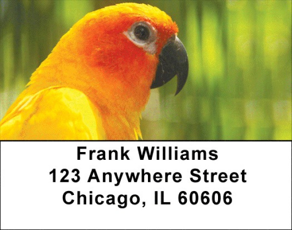 Parakeets On Parade Address Labels | LBZANK-55