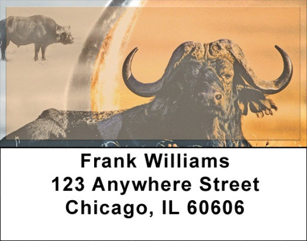 Water Buffalo Address Labels | LBZANK-59