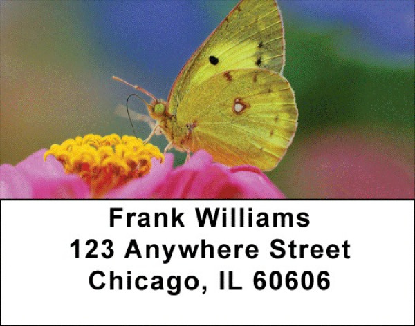 Butterfly Dreams Address Labels | LBZANK-62