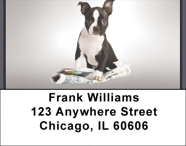 Boston Terrier Puppies Address Labels | LBZDOG-03