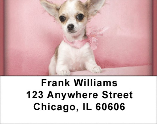 Chihuahuas Address Labels | LBZDOG-05