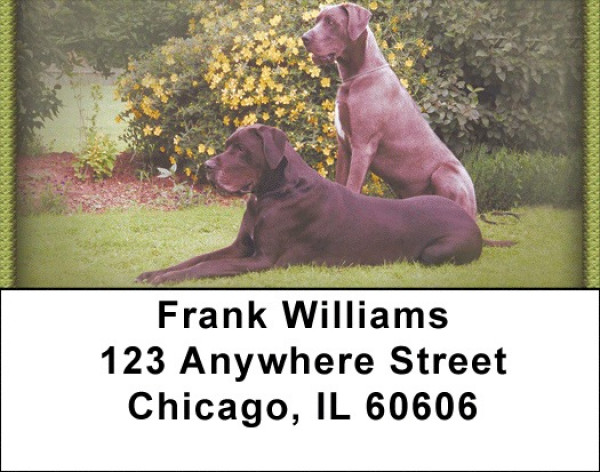 Great Danes Address Labels | LBZDOG-17