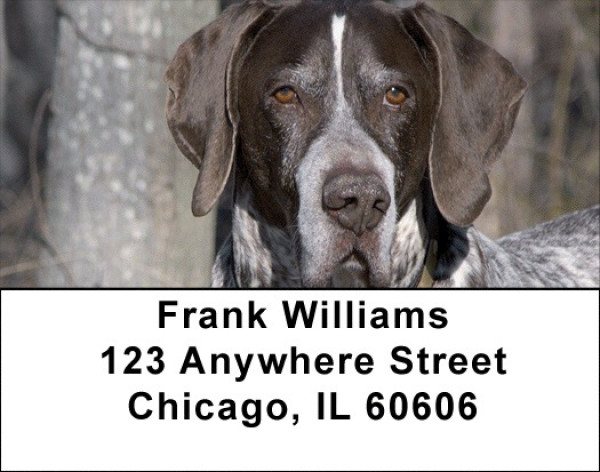 German Short Haired Pointers Address Labels | LBZDOG-28