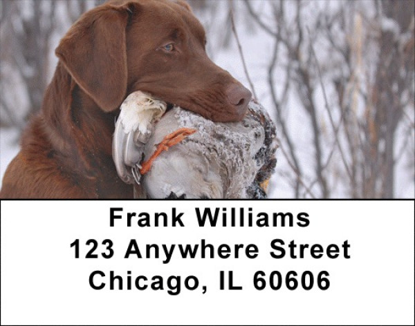 Labradors At Work Address Labels | LBZDOG-29