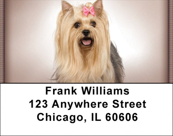Yorkies Address Labels | LBZDOG-34