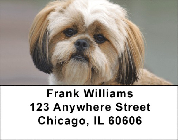 Lhasa Apso Puppy Address Labels | LBZDOG-35
