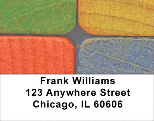 Creative Fun Address Labels | LBZEDU-06