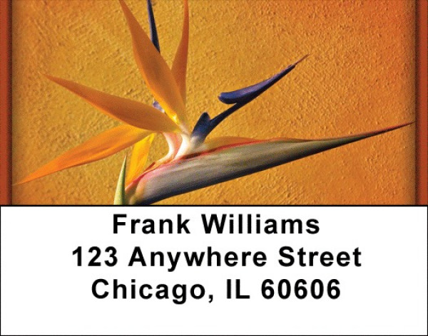 Blooming Paradise Address Labels | LBZFLO-02