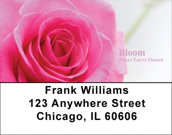 Bloom Where You're Planted Address Labels | LBZFLO-04