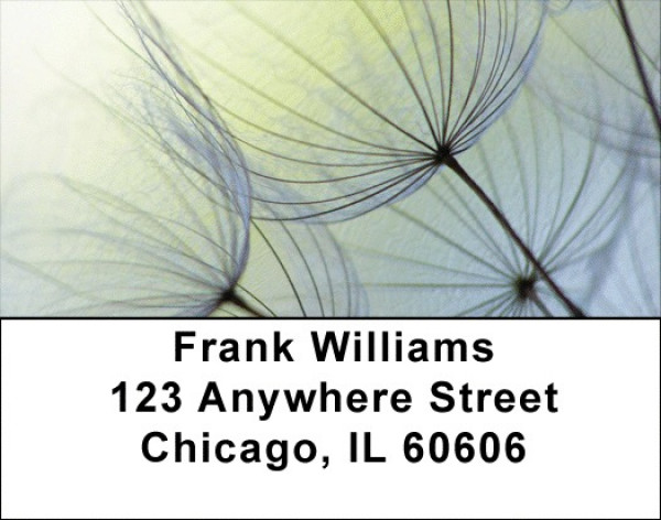 Dandelion Address Labels | LBZFLO-15