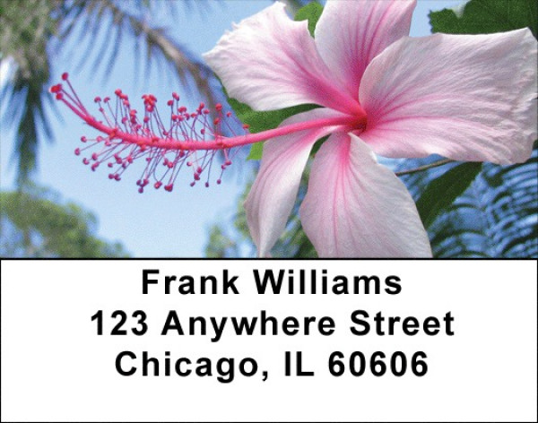 Hibiscus Address Labels | LBZFLO-19