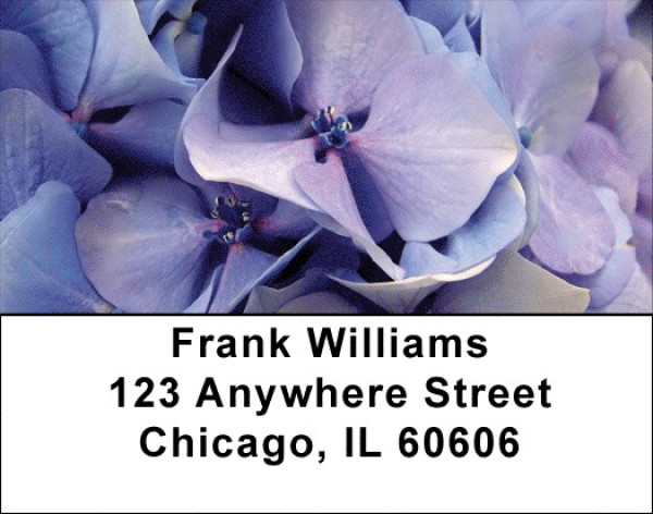 Hydrangea Address Labels | LBZFLO-20