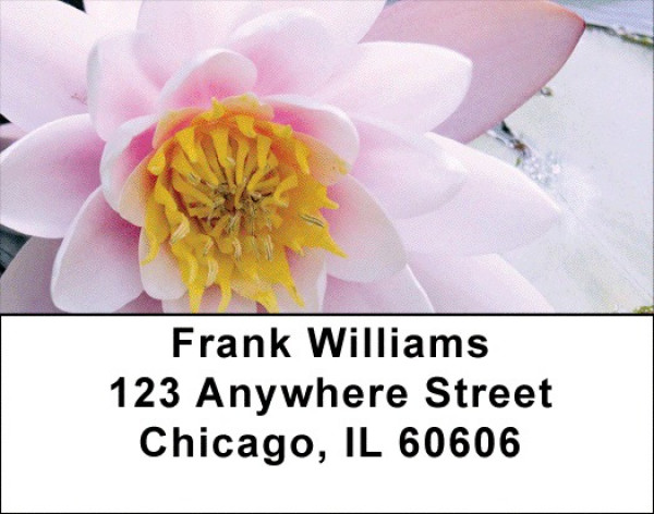 Lotus Rainbow Address Labels | LBZFLO-29