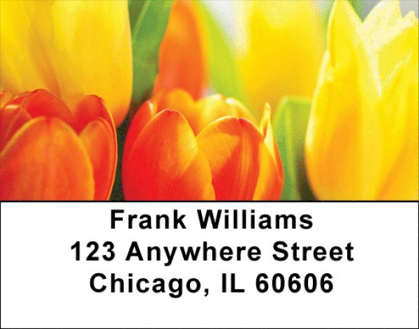 Tulip Temptations Address Labels | LBZFLO-45