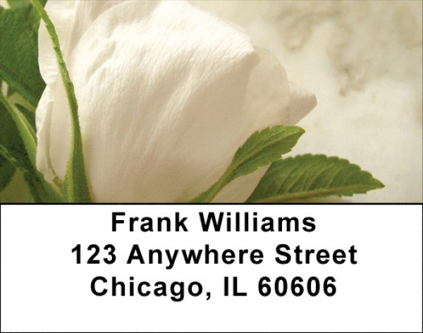 Yellow And White Florals Address Labels | LBZFLO-55