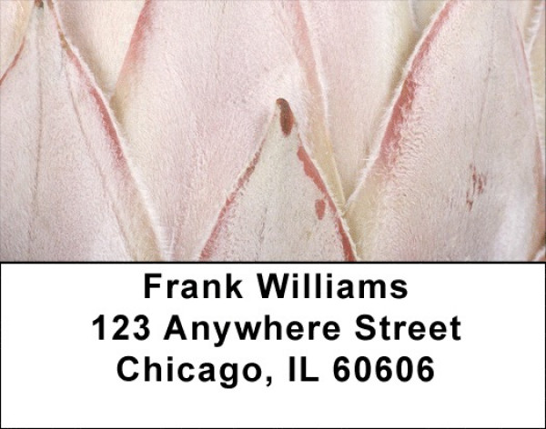 Protea Address Labels | LBZFLO-70