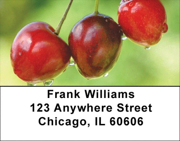 Cherries Address Labels | LBZFOD-35