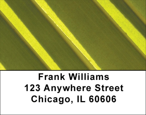 Abstract Black Gold Address Labels 2 | LBZGEO-80