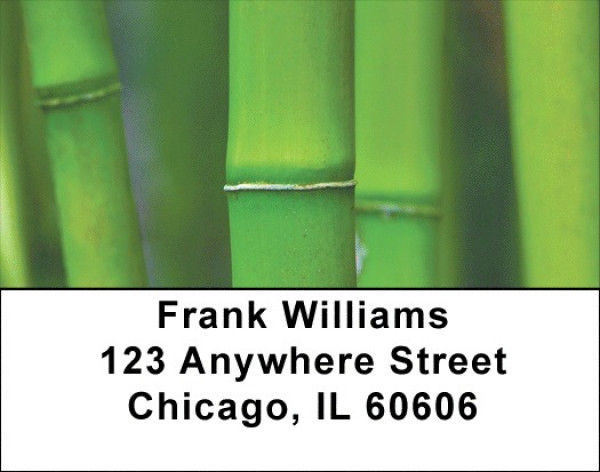 Bamboo Address Labels | LBZNAT-18