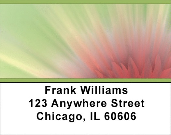 Pink Explosion Address Labels | LBZNAT-23