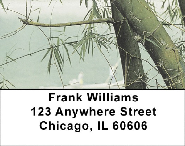 Through The Bamboo Address Labels | LBZNAT-37