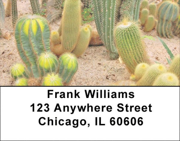 Desert Cactus Address Labels | LBZNAT-39