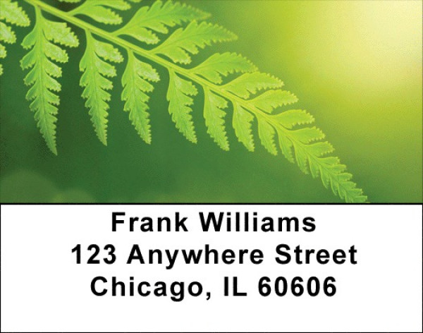 Branching Out Address Labels | LBZNAT-40