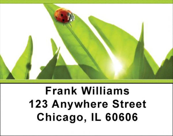 Enchanted Greenery Address Labels | LBZNAT-51