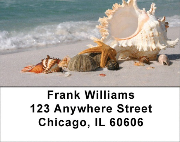 Sand and Shells Address Labels | LBZSCE-24