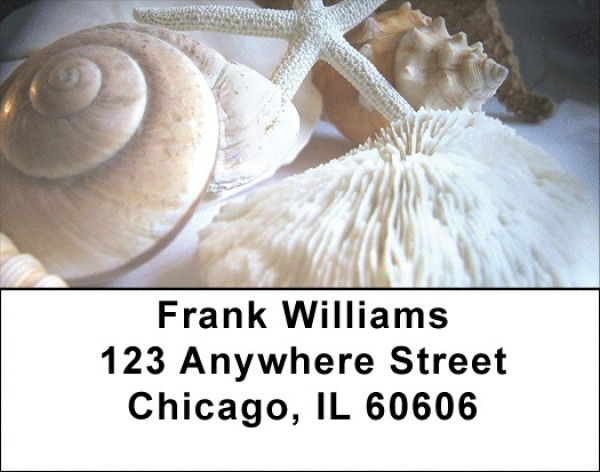 Beach Treasures Address Labels | LBZSCE-26