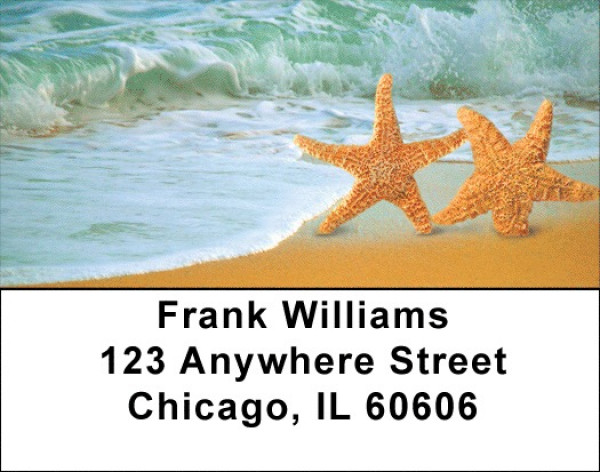 Starfish On Parade Address Labels | LBZSCE-31