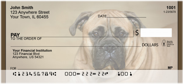 Bull Mastiff Personal Checks | QBB-33