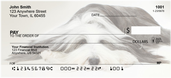 Long Haired Collie Personal Checks | QBB-44