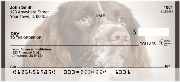 English Springer Spaniels Personal Checks | QBB-53