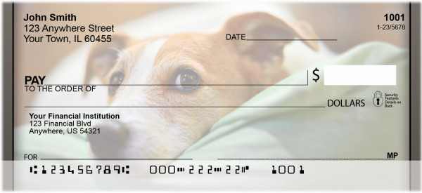 Jack Russell Terrier Personal Checks | QBB-63