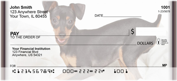 Playful Pincher Personal Checks | QBB-80